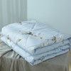 梦洁舒柔夏被-兰馨1010289017（150*200cm） 商品缩略图1