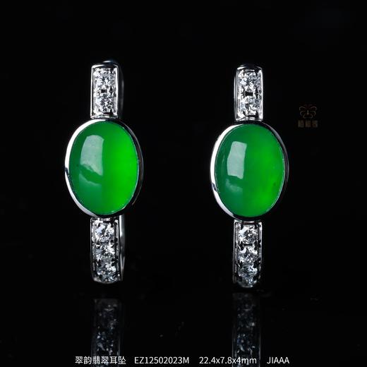 【翠韵】翡翠耳坠-EZ12502023M 商品图0