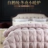 【恐龙厅】B7 丨F恐龙柔赛丝95%白鹅绒被四季 商品缩略图0