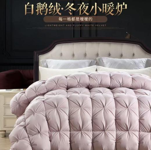【恐龙厅】B7 丨F恐龙柔赛丝95%白鹅绒被四季 商品图0