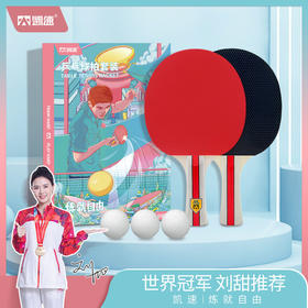 凯速 乒乓球拍（赠送乒乓球3个+拍包1个 ）PP01