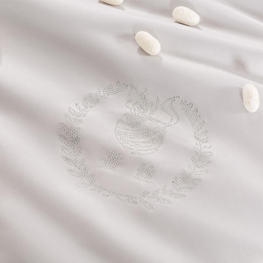 無印“顺滑”蚕丝被（夏）+無印“咖品”斜纹纯棉四件套（蓝大格）【SZCT8.0】 商品图3