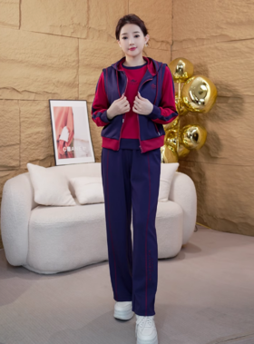 时尚休闲运动套装，春秋卫衣马甲气质中老年三件套LJX-554
