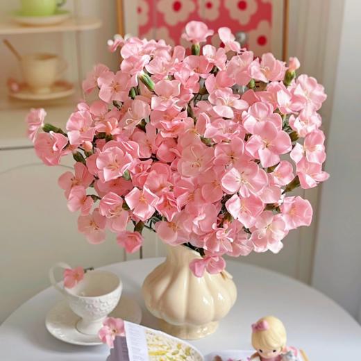 卡萨 多丁康乃馨丨18+2防损 商品图0