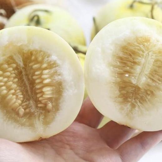 【清甜多汁❗️云南郁金香小甜瓜】 香甜如蜜 脆甜多汁 脆甜多汁 果香四溢 难挡的味蕾诱惑！新鲜水果 清新香甜瓜L 商品图1
