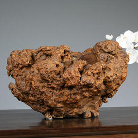 清 瘿木树瘤聚宝盆