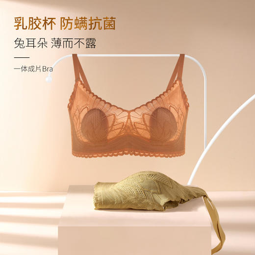 春夏轻奢性感透气蕾丝兔耳杯内衣 乳胶防螨抑菌杯无痕透气内衣 商品图1