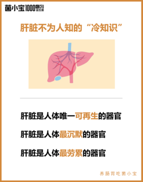 小心！肝脏受伤了也不吭声｜从再生奇迹到病变隐患的真相​