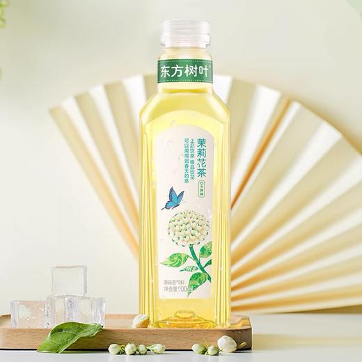 东方树叶茉莉花茶调味茶饮料500ml 商品图0