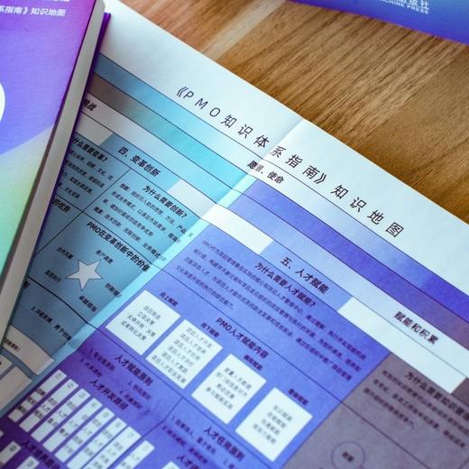 官网 PMO知识体系指南 PMO知识体系指南编写组 PMO 项目管理 PMO前沿 战略管理 企业经营管理学书籍 商品图2