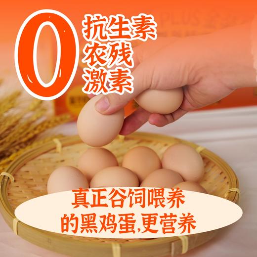 探寻初味-正宗谷饲黑鸡鸡蛋 商品图3