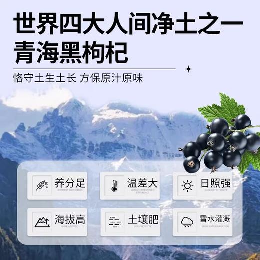 可益康黑果枸杞原浆饮品300ml（30ml*10） 商品图2