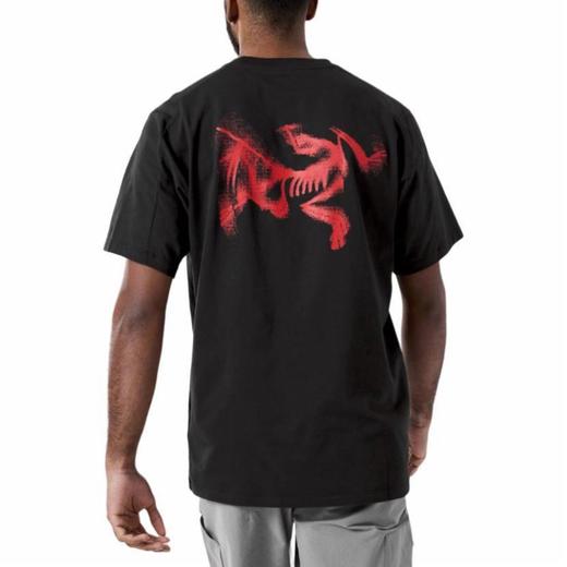 点此购买 始祖鸟夏季男女款后背印花短袖T恤 bk 313478 商品图14