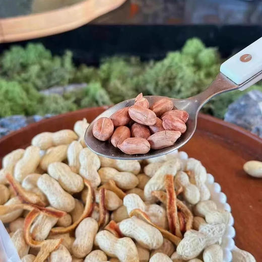 大丰花生陈皮味花生300g 商品图2