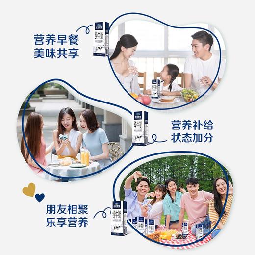 250ml*12君乐宝优致牧场纯牛奶 商品图2