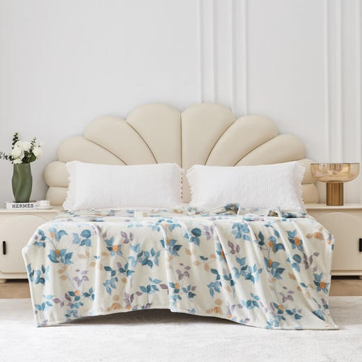 梦洁亲肤牛奶绒毯：杏花春雨1010589019 商品图0