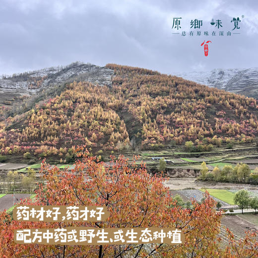 生态桂枝汤【倪师版】（成都仓库-顺丰快递）｜80g*4小袋，万方之祖【原乡自产】 商品图3