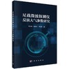 星载微波探测仪反演大气参数研究 商品缩略图0