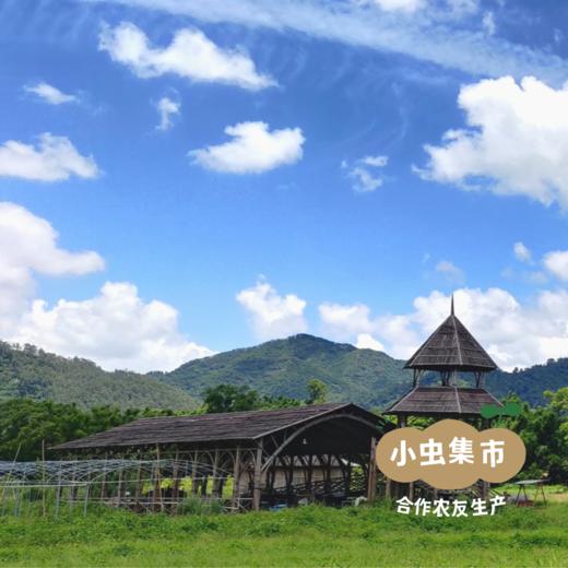 【积分享免邮】生态植物手工皂 | 合作农友生产，产自广东五桂山旗溪村，生产者：郝冠辉 &【公平贸易农人定价】 商品图11