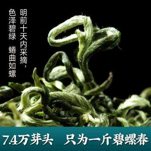 【直送到家】100g五虎碧螺春 花香果味 满口生津 商品图3