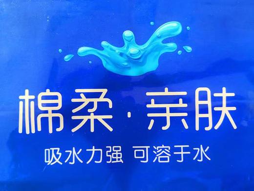【广报智选自营】采芝2000卫生卷纸 C1017 （200g/卷*10卷） 商品图1