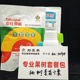 桃树套袋前方案每套400-500斤水