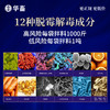 【批发专享】华畜全面脱500g 不含蒙脱石 含12种脱霉解毒营养成分 脱霉剂 孕畜可用 商品缩略图1