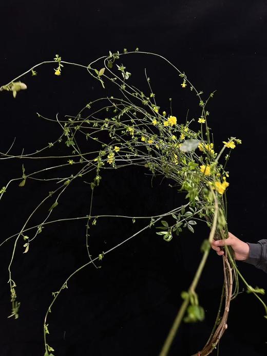 精品小众花材迎春花 商品图4