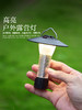 【赠送三脚架 秒变台灯！】露营必备，炫酷多功能挂式帐篷灯，随处可挂，双光源照明，防水设计，夜晚随处照亮，点亮你的旅途。 商品缩略图0