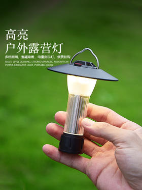 【赠送三脚架 秒变台灯！】露营必备，炫酷多功能挂式帐篷灯，随处可挂，双光源照明，防水设计，夜晚随处照亮，点亮你的旅途。