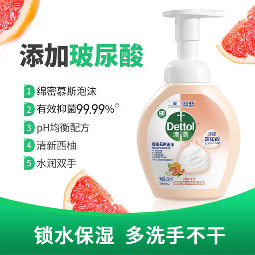 Dettol滴露   泡沫洗手液  250ml   (西柚/青柠/花香) 商品图2