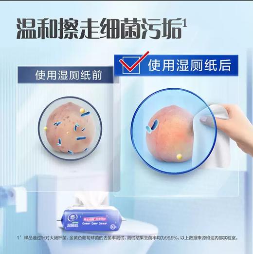 维达湿厕纸   湿巾家庭实惠装植萃山茶花80片1.37 商品图3