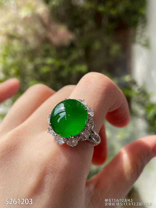5261203，蛋面戒指。具体价格微信次咨询 商品图3
