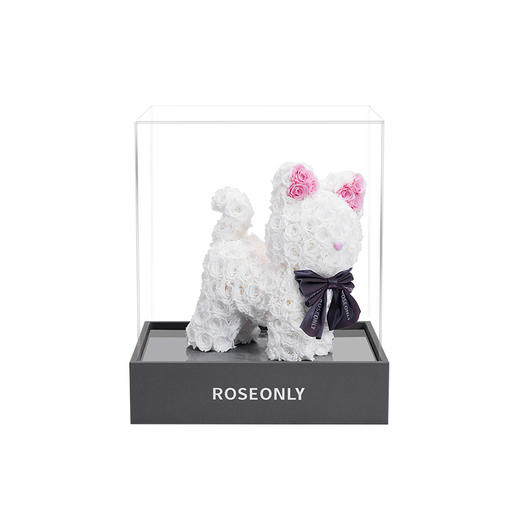 ROSEONLY诺誓 高端定制 永生玫瑰 公仔系列 玫瑰嘻嘻猫 送朋友 商品图1