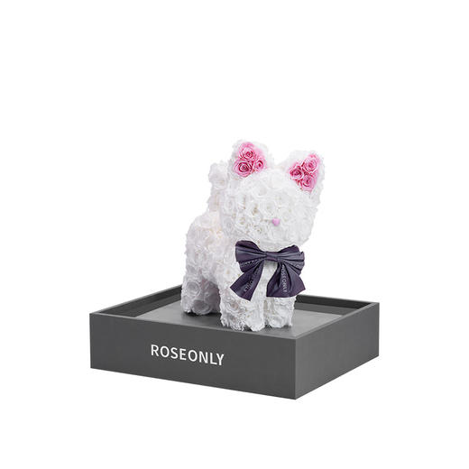 ROSEONLY诺誓 高端定制 永生玫瑰 公仔系列 玫瑰嘻嘻猫 送朋友 商品图2