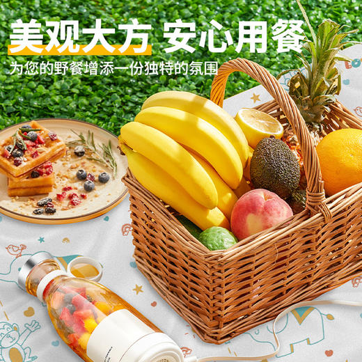 「9.9到手！一次性野餐垫」便携式户外露营防潮垫 单双人防油沙滩垫草坪地垫防水户外装备 商品图1