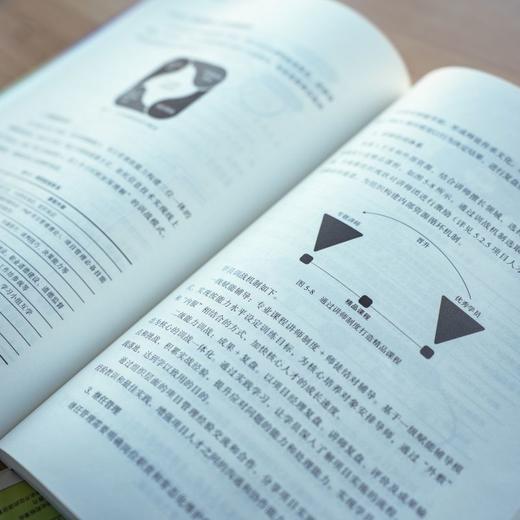 官网 PMO知识体系指南 PMO知识体系指南编写组 PMO 项目管理 PMO前沿 战略管理 企业经营管理学书籍 商品图4