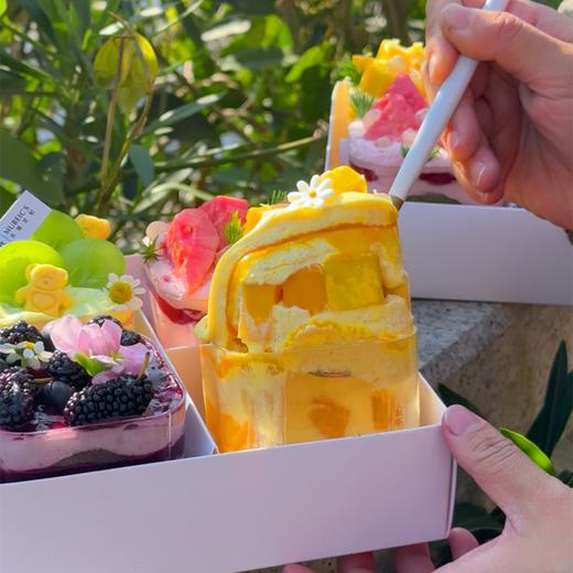 春游四拼盒子蛋糕（芭乐换草莓/桑葚换蓝莓）停用 商品图2