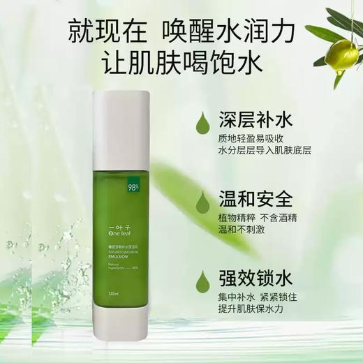 一叶子橄榄芽鲜补水保湿乳液120ml 新品2023版-4501 商品图1