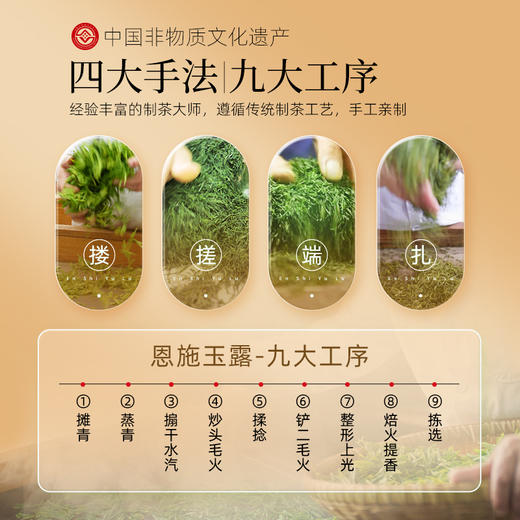 【2025新茶】茶马世家恩施玉露明前特级老树春茶非遗蒸青绿茶200g 商品图4