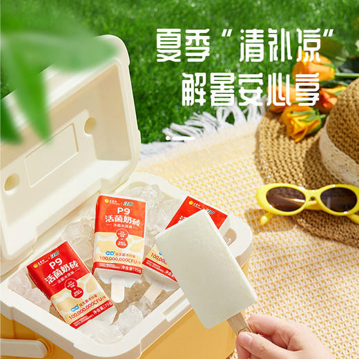 【自提专用】P9活菌奶砖【江中&五丰】联名款 商品图4