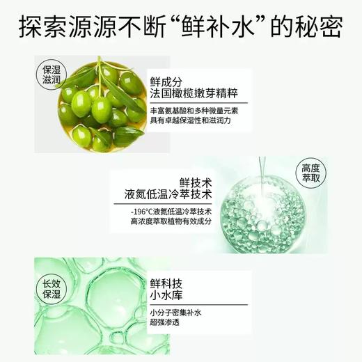 一叶子橄榄芽鲜补水保湿乳液120ml 新品2023版-4501 商品图2