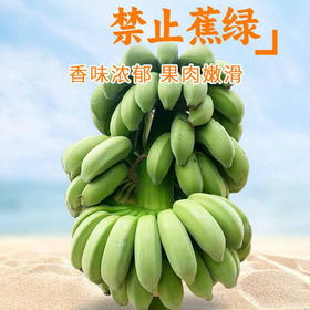 【分仓直发包邮】广西小米蕉（禁止蕉绿）带杆2-3斤（含箱重量）（1片蕉）