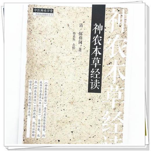 神农本草经读 (清) 陈修园 著 中国中医药出版社 中医师承学堂 临床书籍 商品图3
