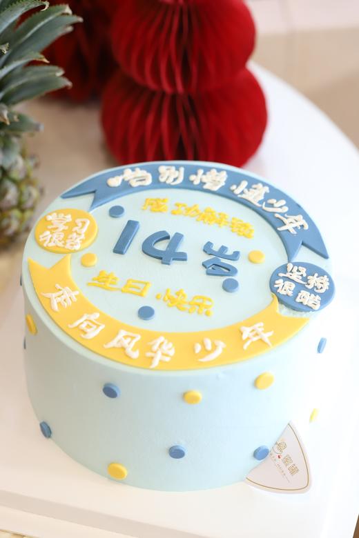 风华少年 商品图1