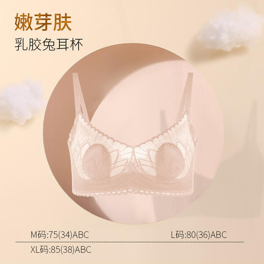 春夏轻奢性感透气蕾丝兔耳杯内衣 乳胶防螨抑菌杯无痕透气内衣 商品图8