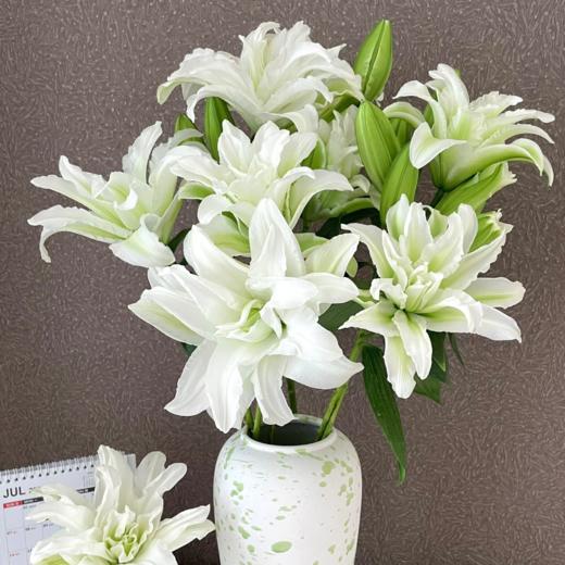 重瓣百合丨艾莎三头 商品图1