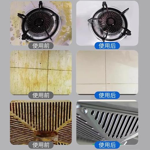 草本卉影油污净300ml/瓶*15 商品图2