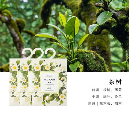Aroma Light香薰包 商品图5