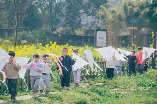 【2H志愿时长】春田魔法盒｜种植可食用香草、手作春日青团、草坪放风筝、采摘农场鲜蔬 商品图4